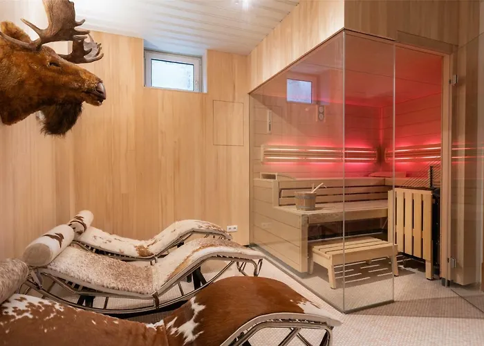 Designferienhaus Luxus Bergchalet Xxl In-out Snow Space Flachau *